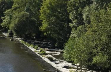 Moulin de Rochoux Gites - Puy du Fou - Foto 19