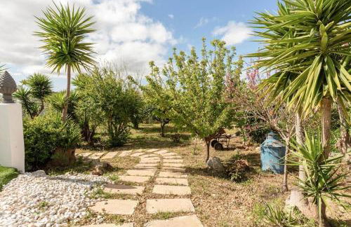 Monte Velho - Foto 11