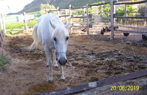 Casa Rural Altozano Elche de la Sierra - Foto 42