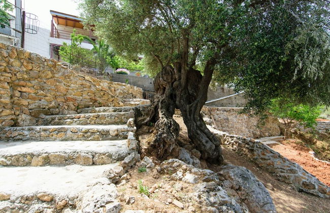 Ortaki Traditional House - Foto 25