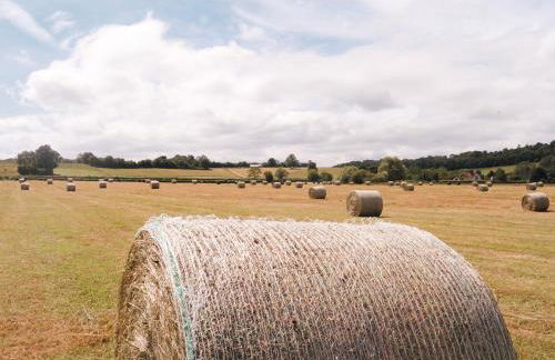 Lower Tundridge Cottage - Photo 36
