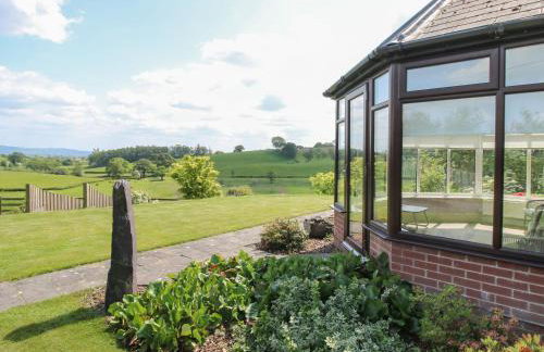 The Marshes - Foto 24