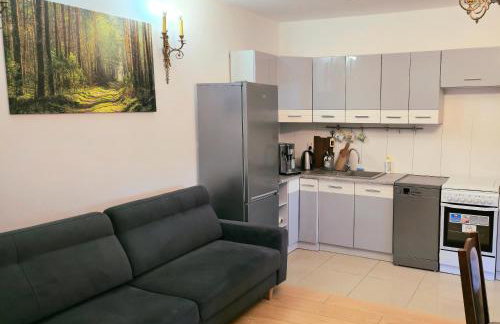 Mazury Apartament/Dom z ogródkiem całoroczny przy jeziorze - Foto 8
