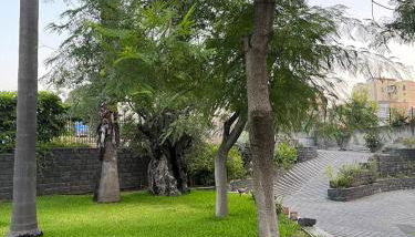 Il Giardino di Pietra - Foto 5, Garden