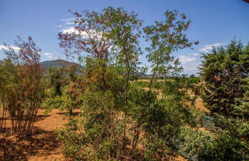 Vecchio Molino - Foto 6