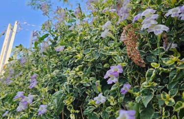 Casa Ideal e Confortável - Foto 14