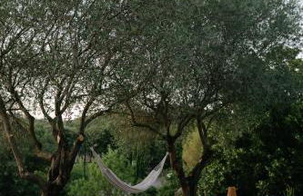 maison du soleil - Foto 5