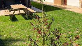 Las Casitas de Cueva - Foto 4