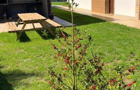 Las Casitas de Cueva - Photo 4