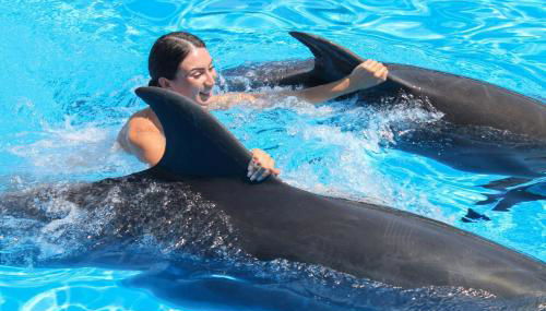 Clube Albufeira, Family Holidays with Pool View - Photo 5