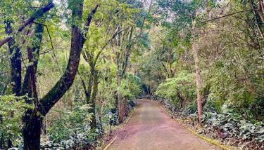 Studio Completo Super Aconchegante - Foto 2