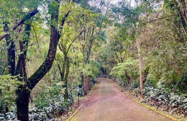 Studio Completo Super Aconchegante - Foto 2