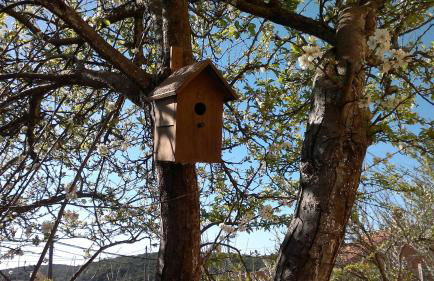 Casa Fátima Valle Gran Rey - Foto 18