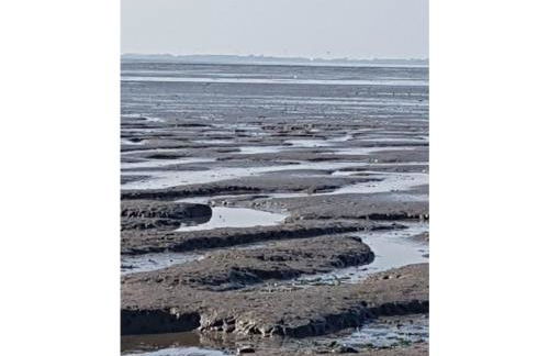 NEU! Fewo Küstenstube - Foto 18