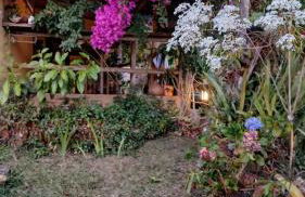 Diamantina, Curralinho Extração - Foto 33