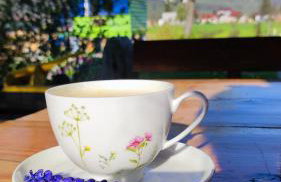 Kuća za odmor Delak - Foto 44