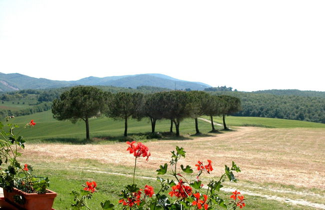 Nice Apartment in Guasticce With Pool - Foto 35