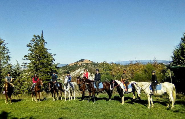 Fattoria Pieve a Salti - Foto 28