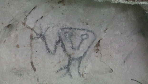 Los Haitises Day Trip - Photo 3