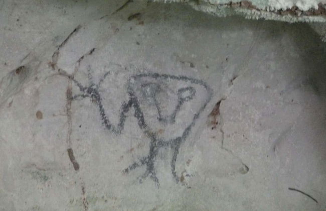 Los Haitises Day Trip - Photo 3