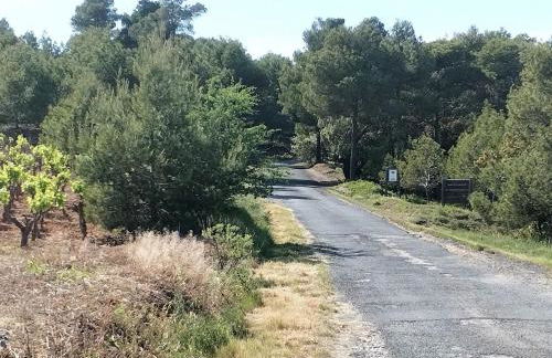 Lumineuse villa au pied de la pinède - Foto 10