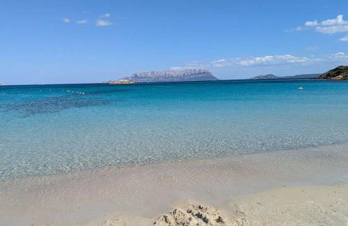 Supreme Beach Location with pool at Cala Sassari - Foto 32