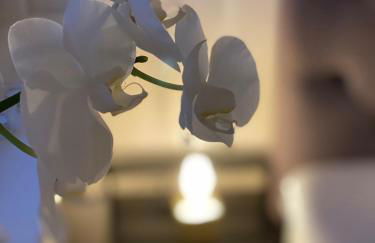 Boutique Ferienwohnungen mit Gartensauna, Nähe Europapark und Straßburg "ÜberNacht - am Talbach" - Foto 20