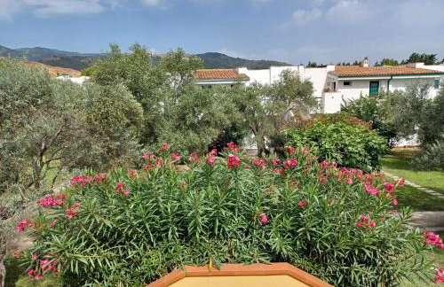 Tra Ulivi E Mare - Foto 12