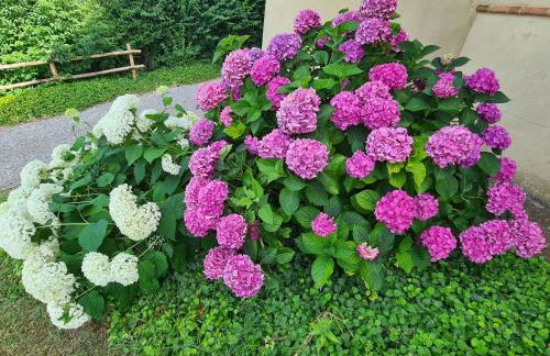 Apartment di Magnano by Interhome - Foto 26