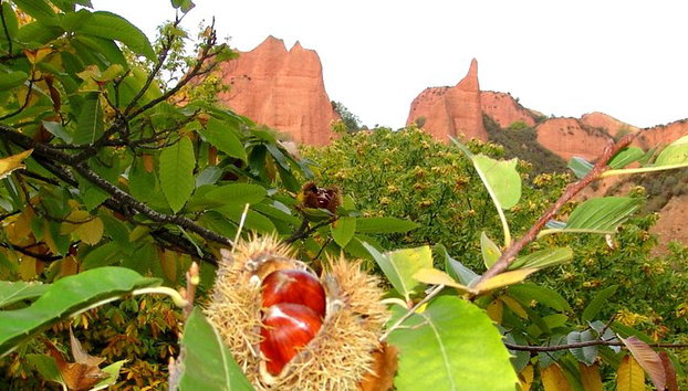 Las Médulas Y Ponferrada - Foto 3