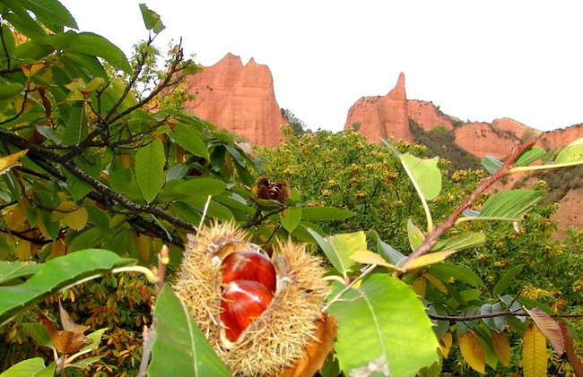 Las Médulas Y Ponferrada - Foto 3