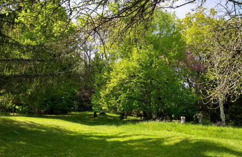 Pyrenees Vue Gite - Le Plus Commentaires Positifs - Vues Fantastique, Tres Bon Petit-Déjeuner, Calme, Piscine, Parking - Foto 34