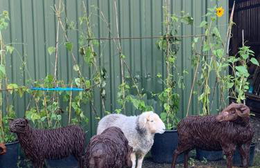 Stable End - Photo 19