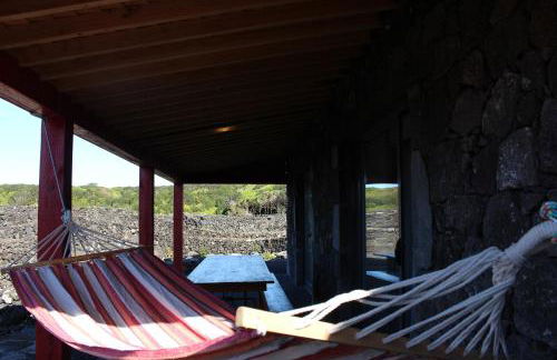 Adega Fraga - Photo 10