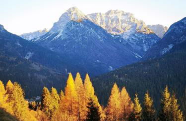 La Terrazzetta Val Comelico - Photo 43