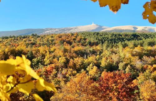 Le Beldi, Mas de Village 1870 - Foto 60