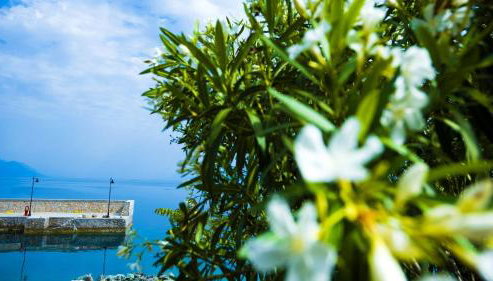 Penelope's Blue Sea Front Residenses - Foto 4