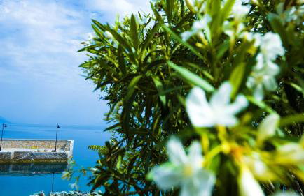 Penelope's Blue Sea Front Residenses - Foto 4