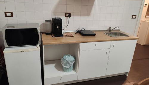 Il tulipano - Foto 3