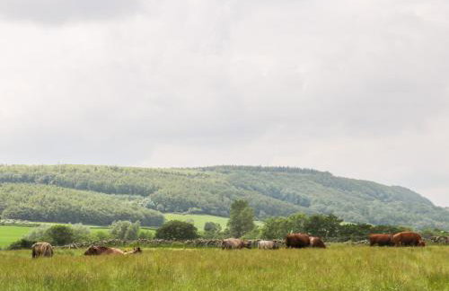 Thirley Beck Lodge - Foto 11