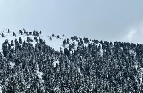 Ski Suites - Family Maisonette Kalavryta - Photo 78