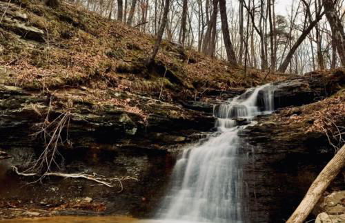 *The Governor's Mansion* Close to Downtown - Photo 64