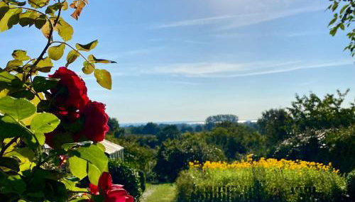 Ferienhaus Kuschel-Muschel - Foto 3
