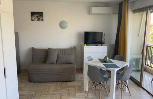 Cannes Marina Résidence Le Surcouf - Studio de 28m2 au 10ème étage avec piscine, terrasse, parking, vue montagne et port : Mandelieu-La Napoule - Foto 5