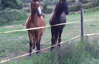 Casale in Val D Orcia - Photo 50