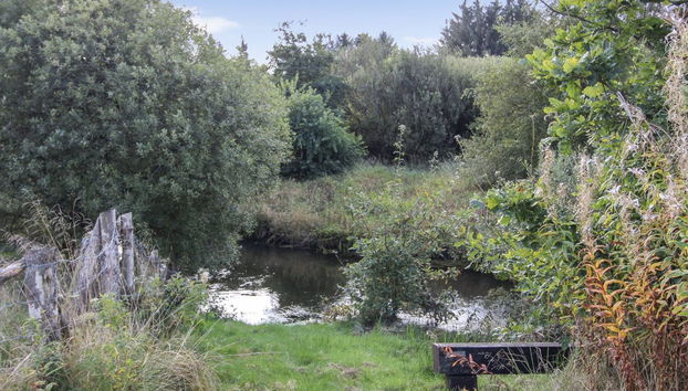 "Terese" - 45km from the sea - Foto 4, Outdoor