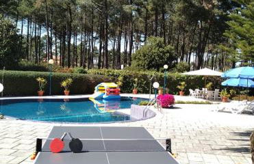 Villa das Palmeiras - Foto 45