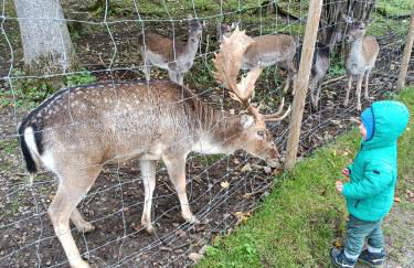Haus Steiner - Ruhige, top bewertete Ferienwohnung in Lauterbach - Schwarzwald - Foto 52