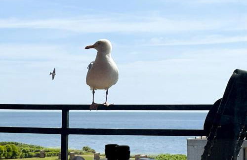 FEWO Ferienresidenz Staberdorf Haus 76 Wohnung Nr 26 - Foto 1