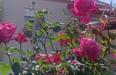 Little Dream House - Foto 3